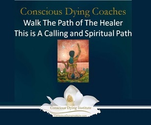 Walk the path of the Healer
